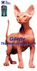 gillete
