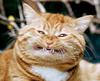 katen_smile