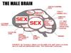malebrain