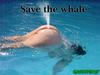 save_the