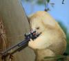 sniper