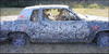 used_car