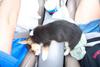 fav_sleepin_pos