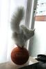 sport-funny_full