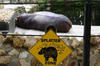 warning1