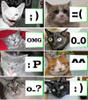catssymbol