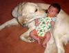 baby-fears-dogs.jpg