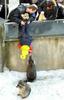 diehard-racoon-feeding.jpg
