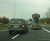 blik-op-de-weg10.jpg