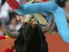 bull-balls.jpg