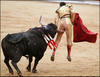 bull-goring-2.jpg