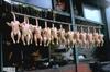 13_nude_chicks