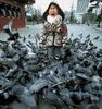 when-birds-attack-2.jpg