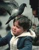 when-birds-attack.jpg