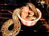 snake-bath.jpg