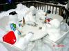 snow-poker.jpg