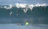 surfing-dolphins.jpg