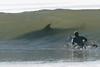 surfing-shark-scare.jpg