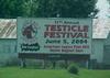 testical-festival.jpg