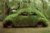 moss-car.jpg