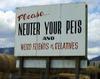 neuter-pets-and-friends.jpg