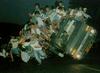 overloaded-bus.jpg