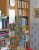 img2.jpg