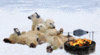 img19.gif