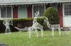 humping-lawn-reindeer.jpg