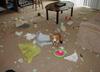 dog-makes-a-mess.jpg