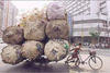 china3.jpg