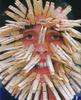 clothes-pin-face.jpg