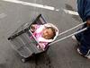 crate-stroller.jpg