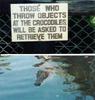 Alligator_Sign