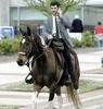 horse-commute.jpg