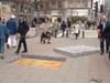 chalk-sidewalk-hole.jpg