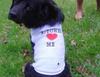 bitches-love-me.jpg