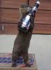 bud-light-otter.jpg