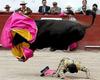 bull-fighter-ducks.jpg