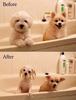dogs-taking-a-bath.jpg