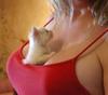 cleavage-kitty.jpg
