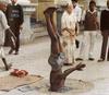 crazy-head-stand.jpg