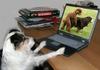 dog-pornography.jpg