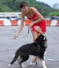 dog-rips-skirt.jpg