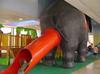 elephant-slide.jpg