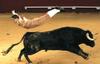flying-bull-fighter.jpg