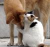 forbidden-romance.jpg