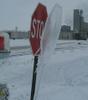 freeze-or-stop.jpg