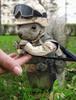 military-squirrel.jpg