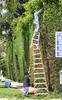 ladder-stacking.jpg